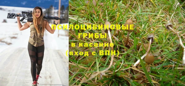 a pvp Арсеньев
