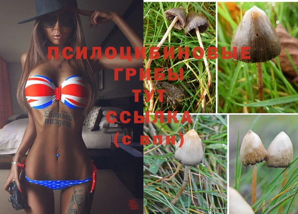 таблы Армянск